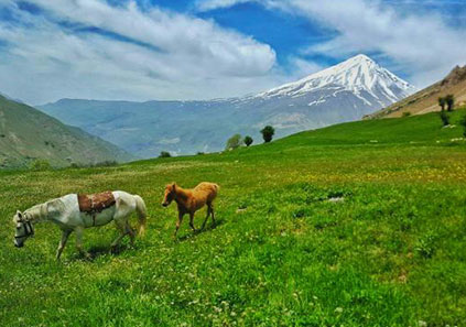 	ایران گردی در دشت آزو و روستای نوا | وب 