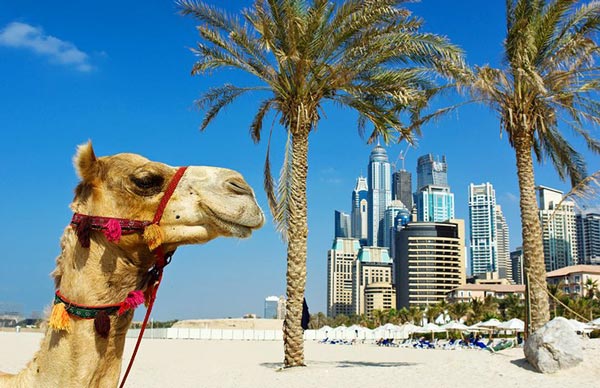آشنایی با مهمترین جاذبه های گردشگری دبی | وب 