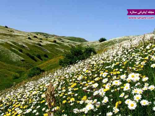 	اردبیل، شهر سرد مرزی ایران | وب 