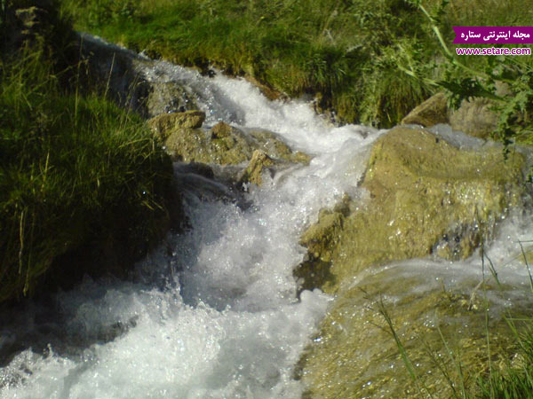 	لذت گردشگری در دشت لار (پارک ملی لار) در استان مازندران | وب 