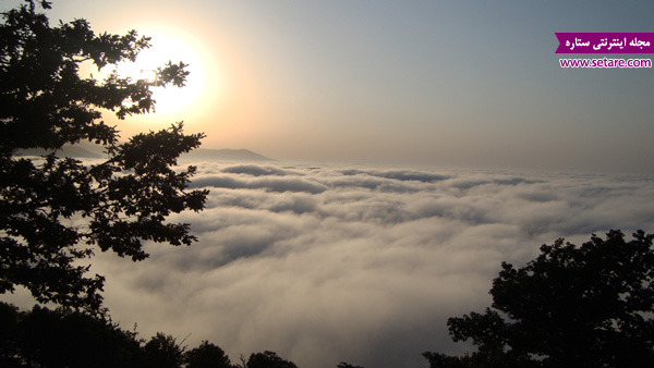 	رویای راه‌رفتن روی ابر‌ها در جنگل ابر شاهرود | وب 