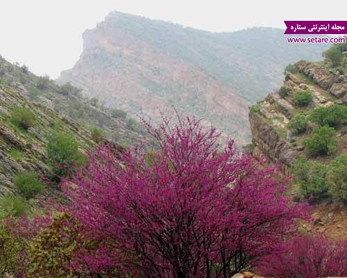 	با جاذبه های گردشگری ایلام آشنا شویم | وب 