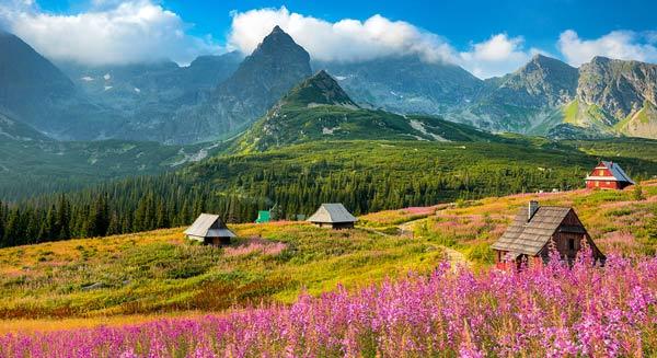 معرفی کوه های کارپات اوکراین از مناطق دیدنی شرق اروپا | وب 