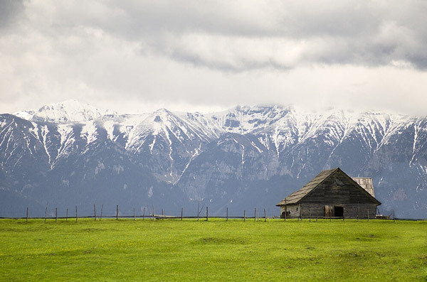 معرفی کوه های کارپات اوکراین از مناطق دیدنی شرق اروپا | وب 