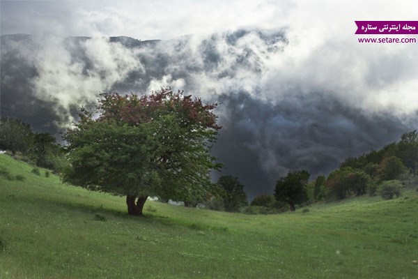 رویای راه‌ رفتن روی ابر‌ها در جنگل ابر شاهرود | وب 