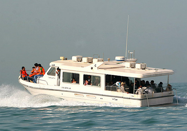 	راهنمای سفر به قشم، بزرگترین جزیره خلیج فارس | وب 