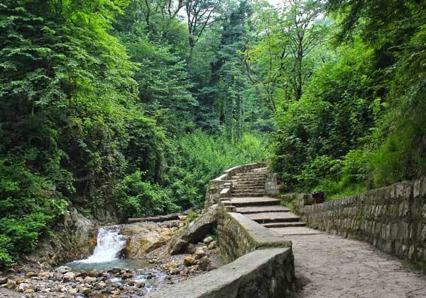 آبشار کبودوال، تنها آبشار خزه‌ای ایران | وب 