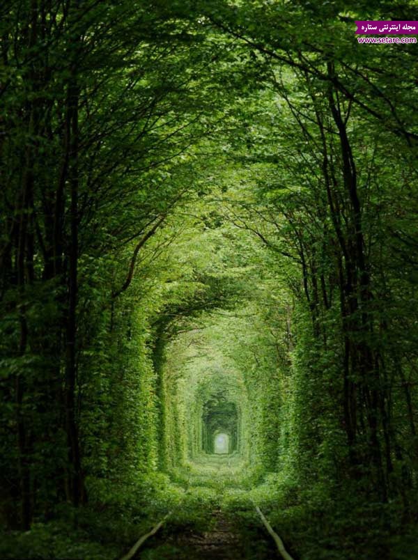 	تونل عشق کجاست؟ | وب 
