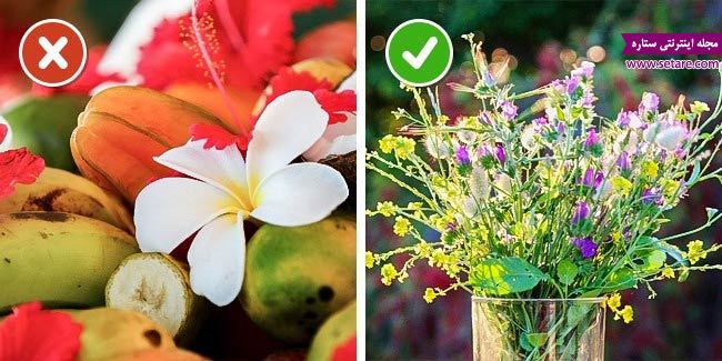 	10 راه ساده برای افزایش عمر و ماندگاری گل طبیعی | وب 