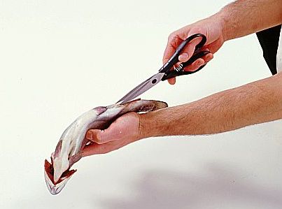 آموزش پاک کردن ماهی قزل آلا( تصویری)