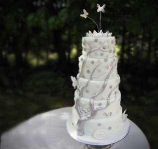  انواع تزئینات روی کیک با خمیر مارسیپان (1)