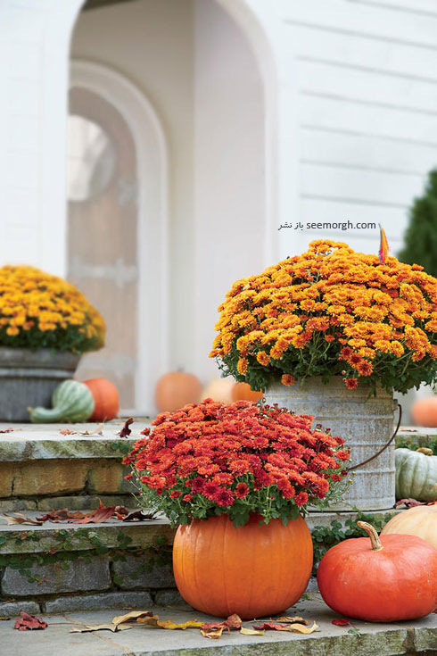 دکوراسیون داخلی خانه تان را با کدوهای رنگارنگ پاییزی و دلنواز کنید