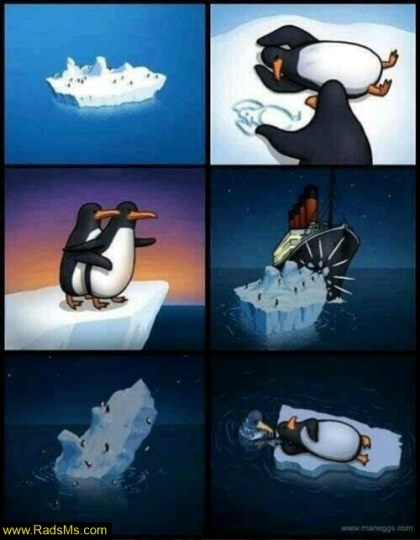 عکس طنز: اگر پنگوئن ها در فیلم تایتانیک بازی کنند!