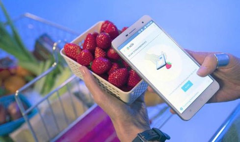با این گوشی موبایل شیرین ترین میوه را انتخاب کنید